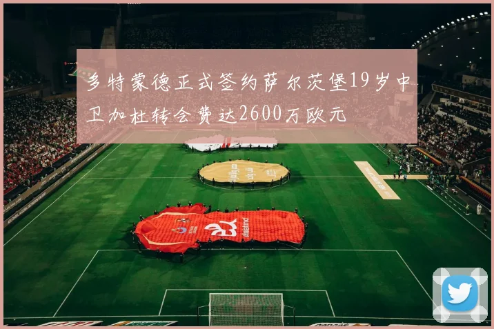 多特蒙德正式签约萨尔茨堡19岁中卫加杜转会费达2600万欧元