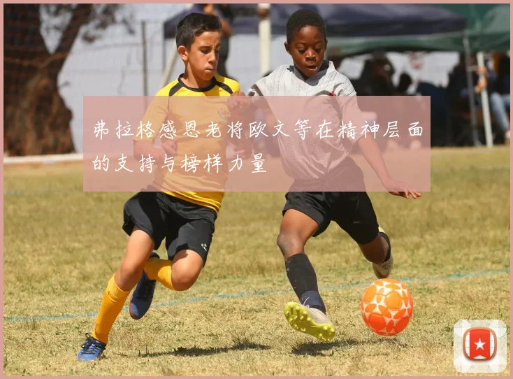 弗拉格感恩老将欧文等在精神层面的支持与榜样力量